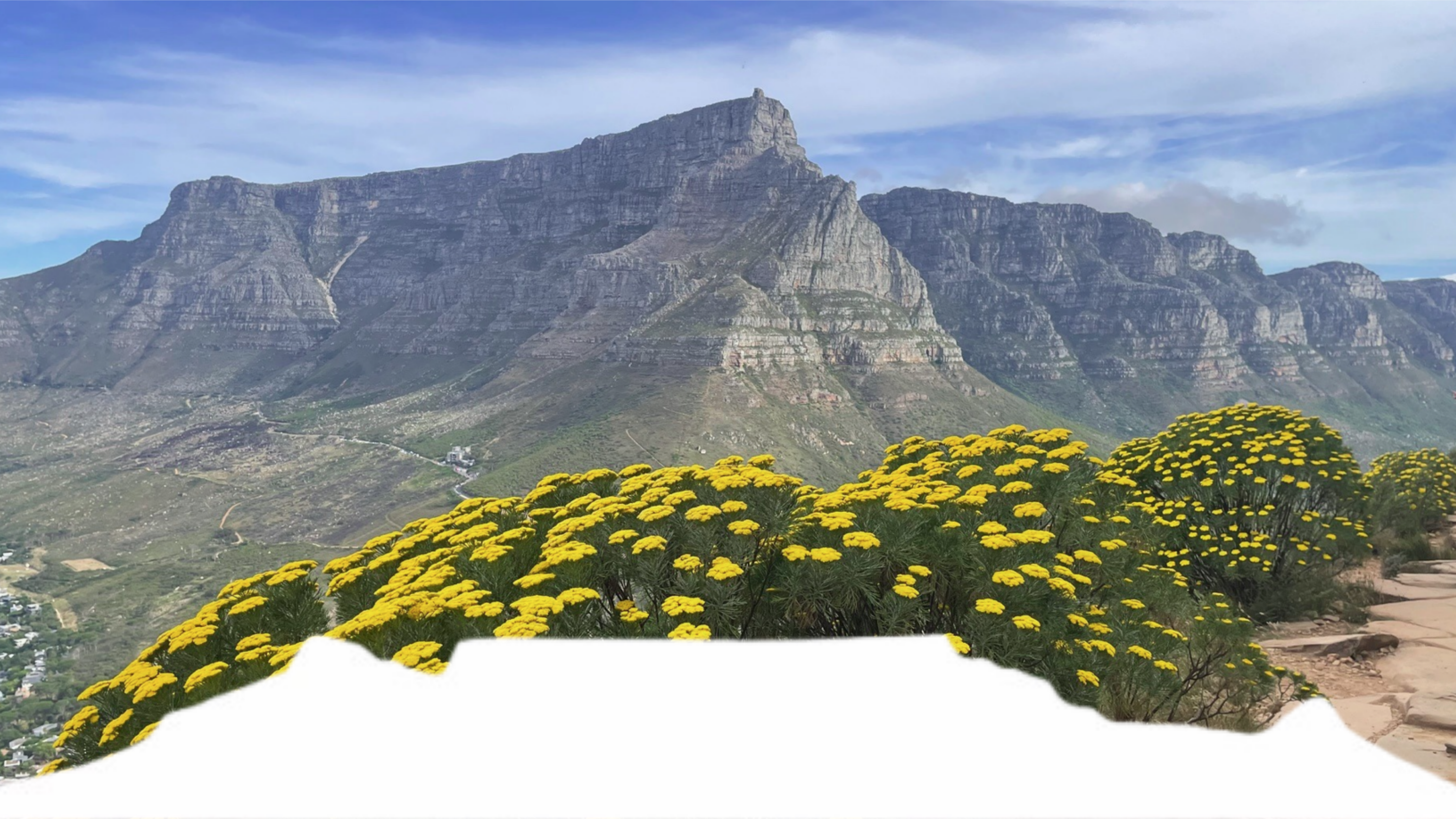 Guided Table Mountain adventure with sweeping mountain views